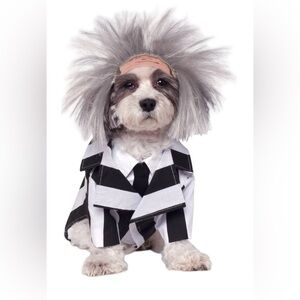 Beetlejuice dog costume
